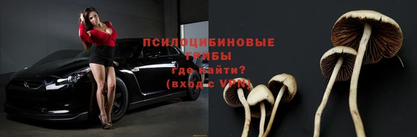 мяу мяу мука Белоозёрский