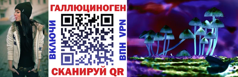 купить Реутов Псилоцибиновые грибы MAGIC MUSHROOMS